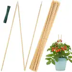 Garden Sticks